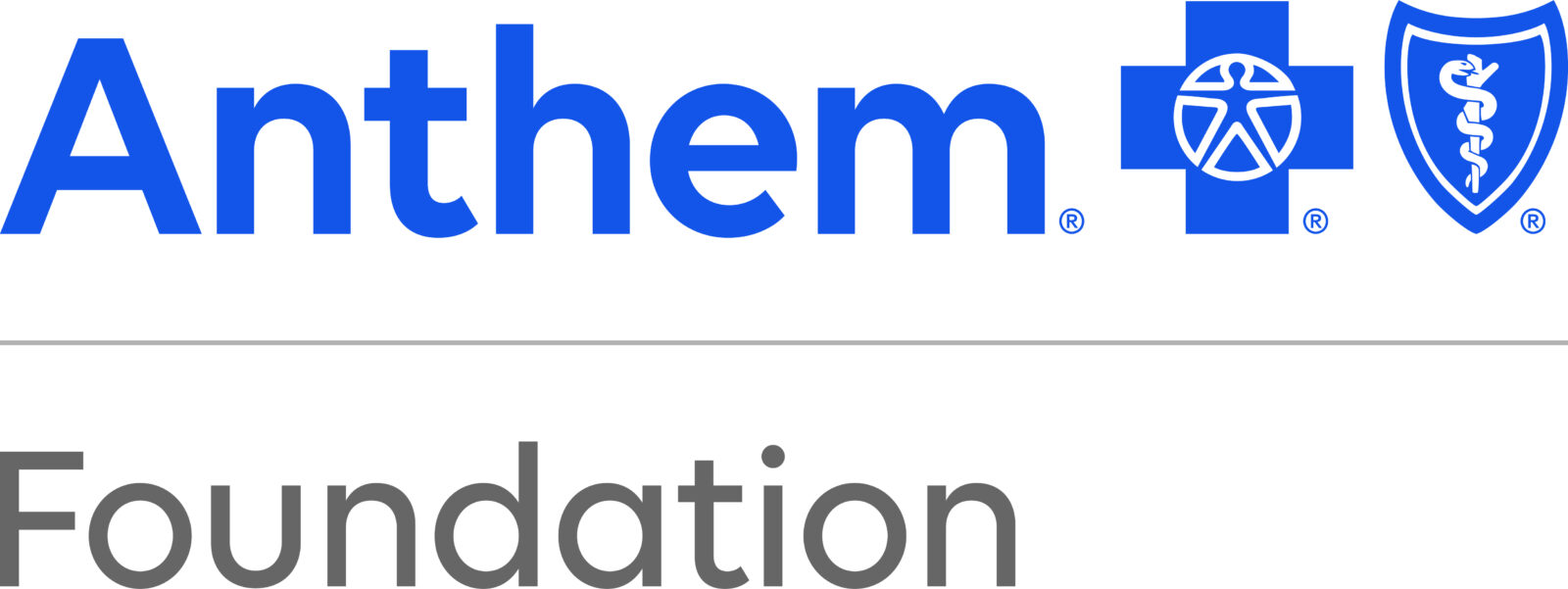 Anthem Foundation