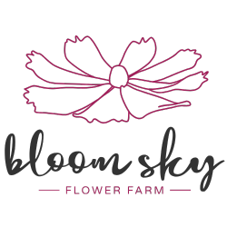 Bloom Sky Logo